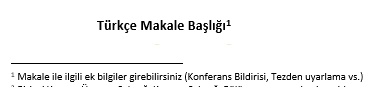 turkce-makale-baslik-ve-aciklama-ornegi.jpg